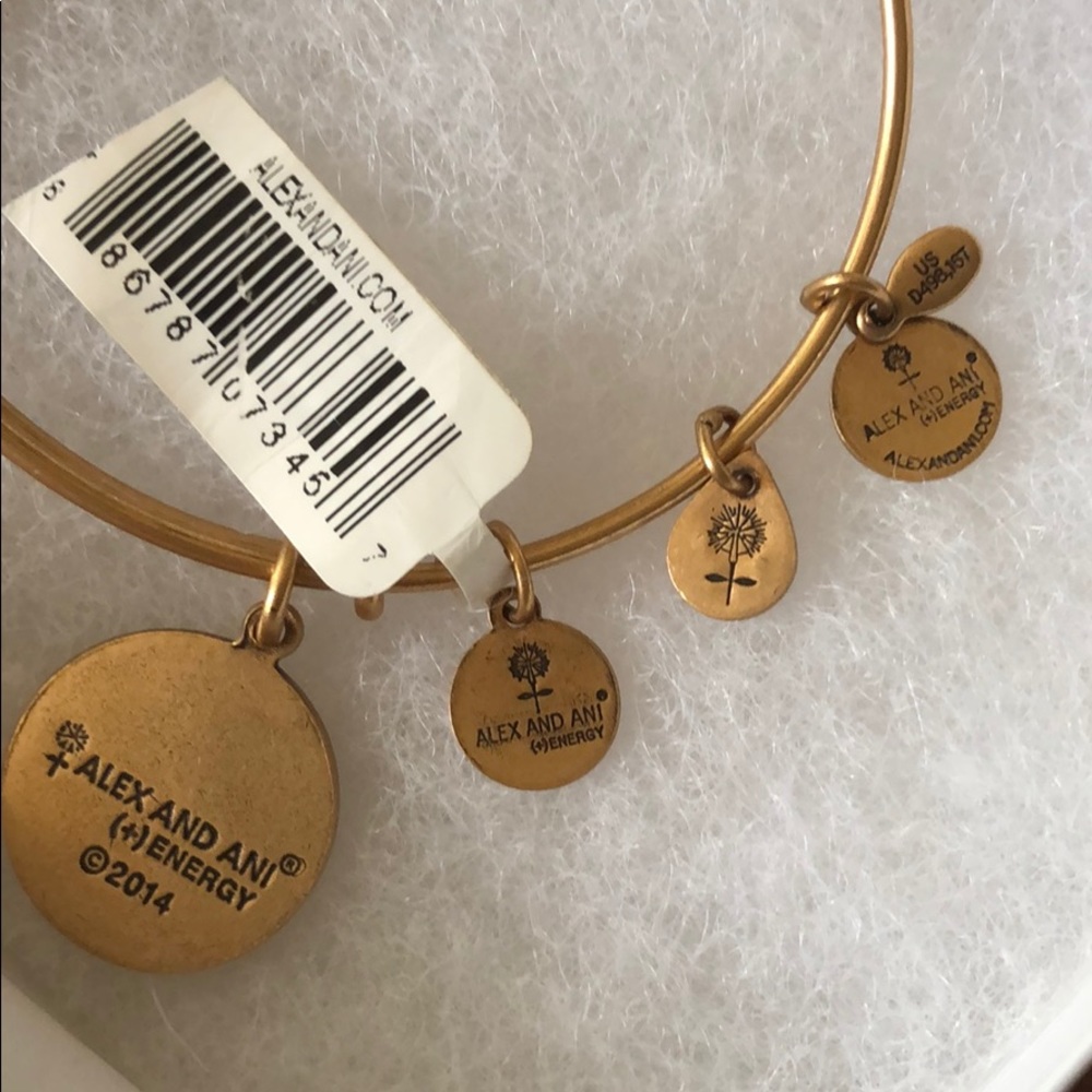 Alex and Ani “H” bracelet - Picture 3 of 4